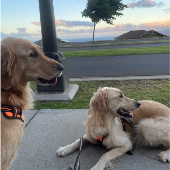 Meet your Posher, Ashley - Picture 2 of 2